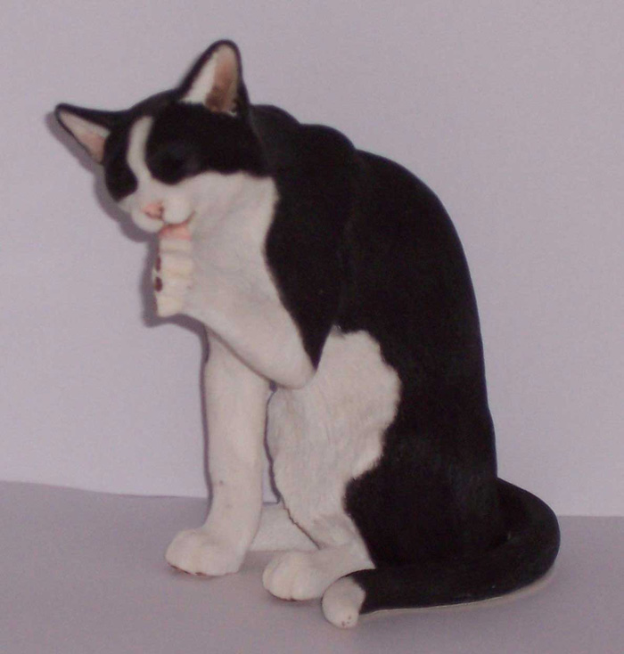 Country Artists Black and White Cat  Cleaning Paw
