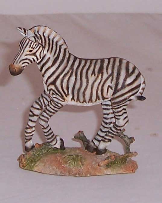 Country Artists Mountain Zebra