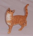 Country Artists Ginger Cat Standing