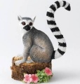 Country Artists Mischievous Lemur