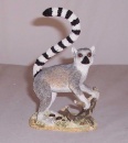 Country Artists Solitary Lemur