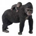 Country Artists Gorilla and Young CA03726
