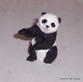 Country Artists Playful Panda Cub