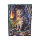 Nemesis Now Journal - Book of Shadows design