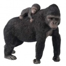 Country Artists Gorilla and Young CA03726