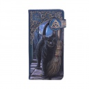 Nemesis Now Purse - A Brush With Magick design