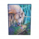 Nemesis Now Journal - Fairy Whispers design