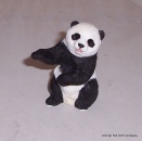 Country Artists Playful Panda Cub