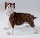 A Breed Apart Sparkle Staffie