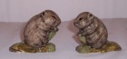 Water Vole salt and pepper set
