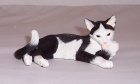 Country Artists Cat Lying on side - Black and White CA06388