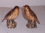 Thrush Salt and Pepper Set
