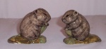 Water Vole salt and pepper set