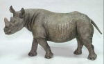 Country Artists Black Rhino