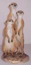 A Szeiler Collection Meerkats