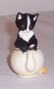 Country Artists Kitten A Curious Tale CA02822