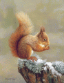 Squirrel Nutkin - Robert Fuller
