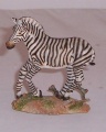 Country Artists Mountain Zebra