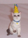 Country Artists Cats in Hats Partytime